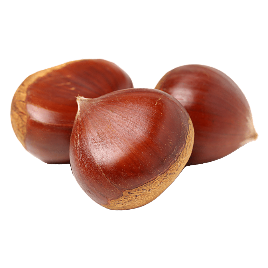 Himalayan Chestnuts